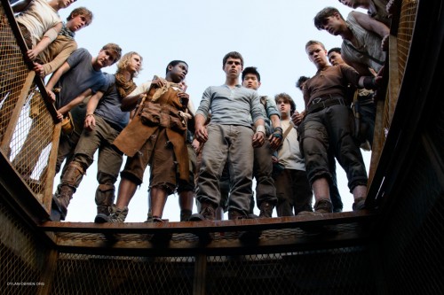 the-maze-runner