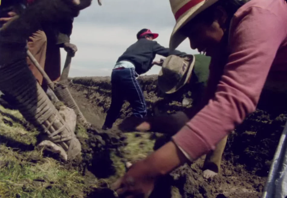 Estas son todas las películas peruanas del Festival de Lima 2025