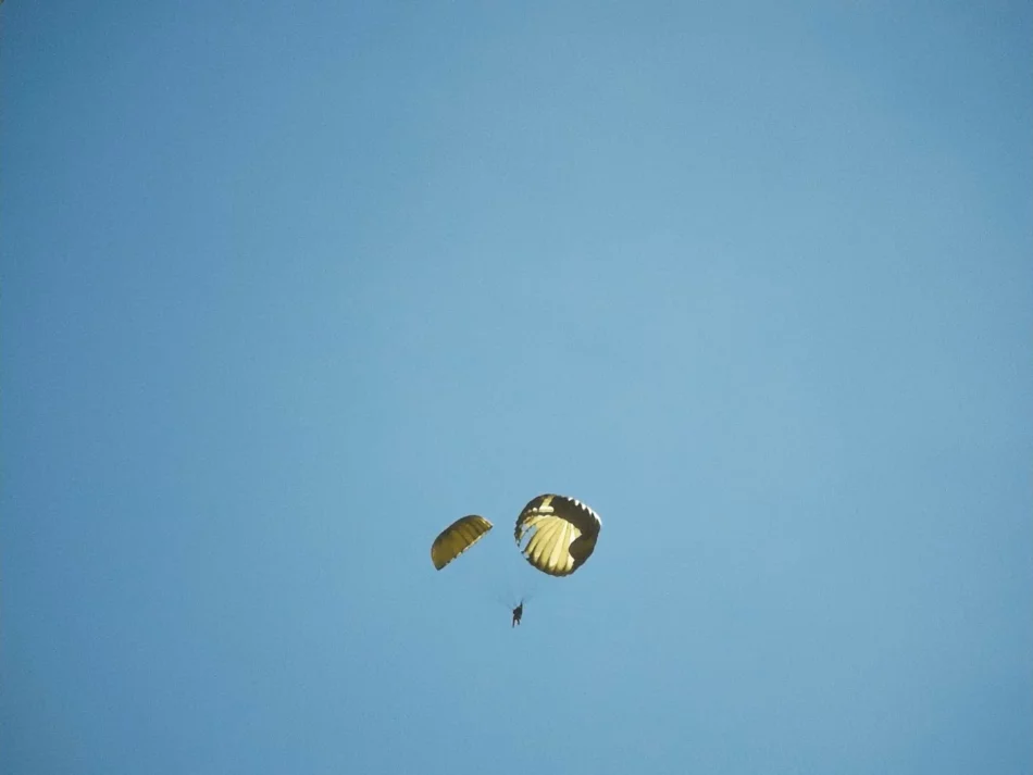 «Vino la noche»: dura, inmersiva, edípica, identitaria