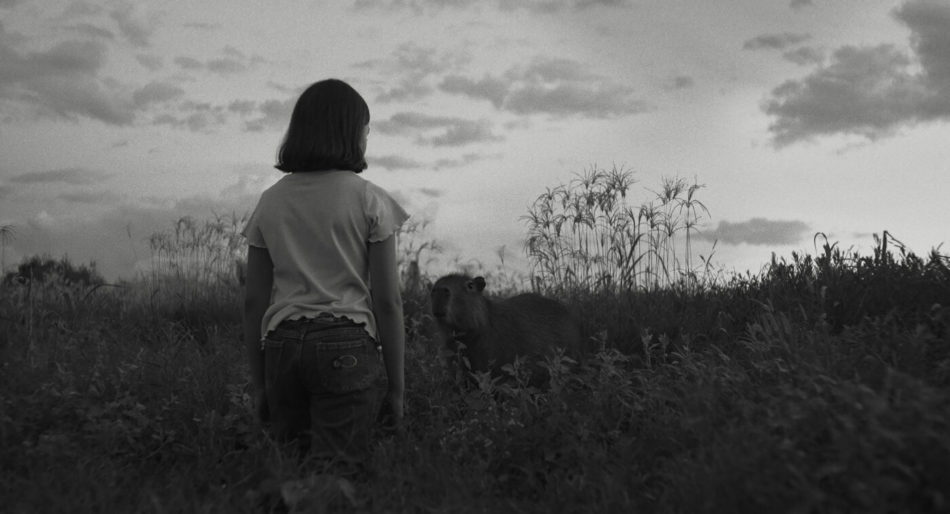 Semana del Cine Ulima: “El mensaje” (2025), viaje a ninguna parte