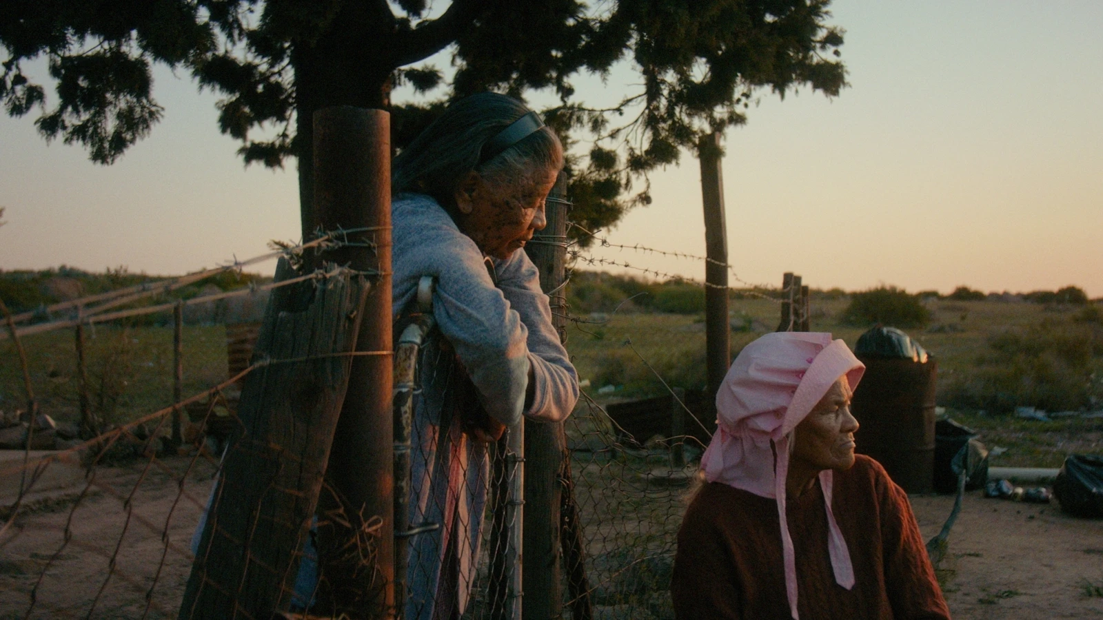 Así fue la Tiger Competition del Festival de Rotterdam 2026